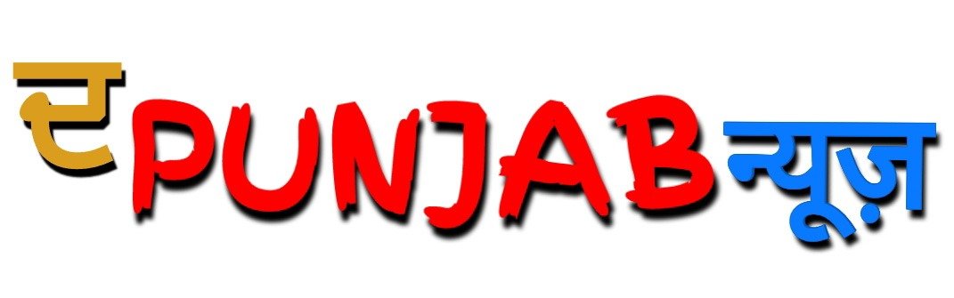 thepunjabnews.com